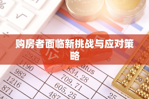 疏附购房者面临新挑战与应对策略