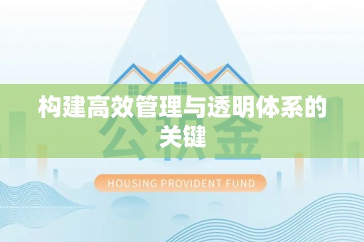 疏附构建高效管理与透明体系的关键