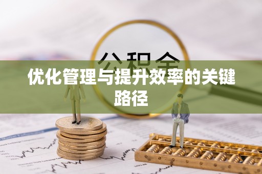疏附优化管理与提升效率的关键路径