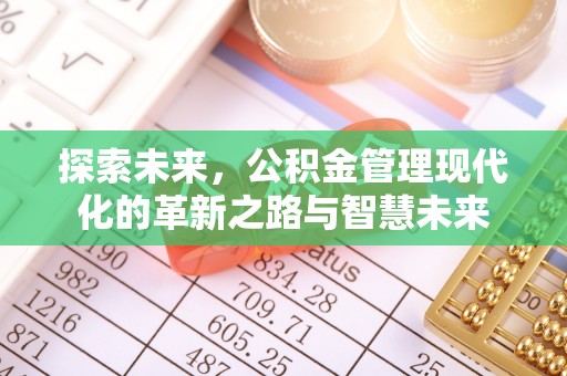 疏附探索未来，公积金管理现代化的革新之路与智慧未来