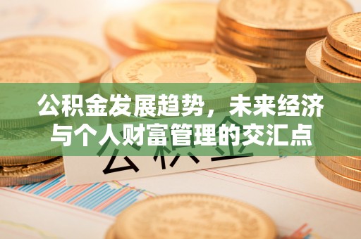 疏附公积金发展趋势，未来经济与个人财富管理的交汇点