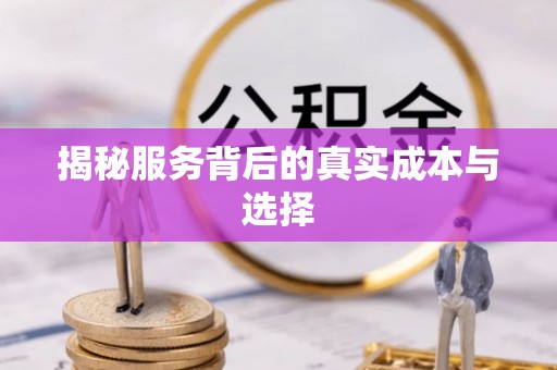 疏附揭秘服务背后的真实成本与选择