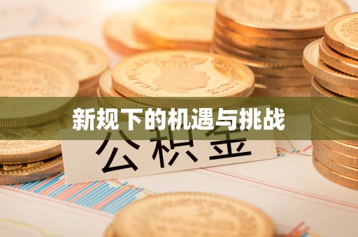 疏附新规下的机遇与挑战