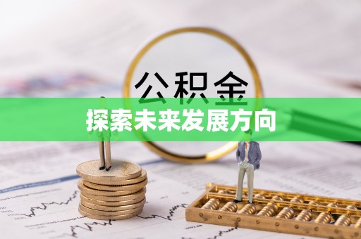 疏附探索未来发展方向