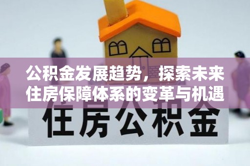 疏附公积金发展趋势，探索未来住房保障体系的变革与机遇