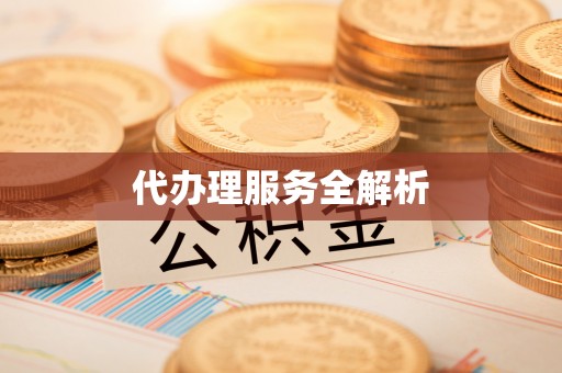 疏附代办理服务全解析