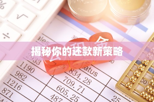 疏附揭秘你的还款新策略