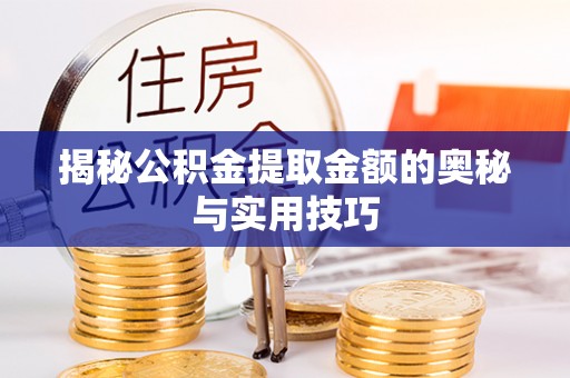 疏附揭秘公积金提取金额的奥秘与实用技巧