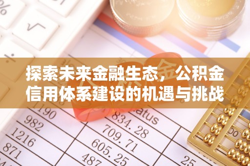 疏附探索未来金融生态，公积金信用体系建设的机遇与挑战