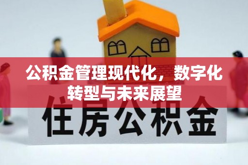 疏附公积金管理现代化，数字化转型与未来展望
