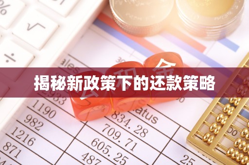 疏附揭秘新政策下的还款策略