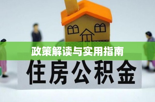 疏附政策解读与实用指南
