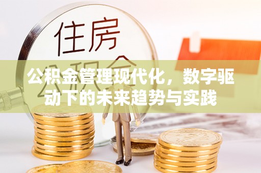 疏附公积金管理现代化，数字驱动下的未来趋势与实践