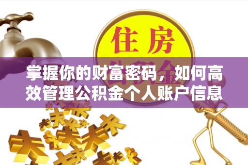 疏附掌握你的财富密码，如何高效管理公积金个人账户信息