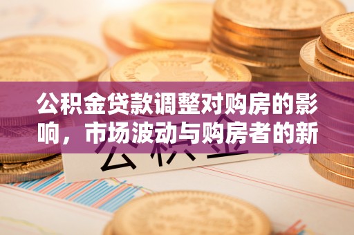 疏附公积金贷款调整对购房的影响，市场波动与购房者的新选择