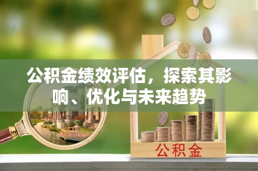 疏附公积金绩效评估，探索其影响、优化与未来趋势