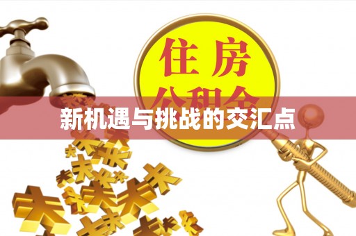 疏附新机遇与挑战的交汇点