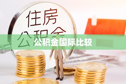 疏附公积金国际比较