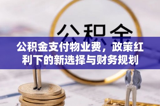 疏附公积金支付物业费，政策红利下的新选择与财务规划