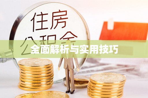 疏附全面解析与实用技巧