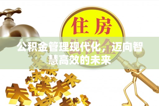 疏附公积金管理现代化，迈向智慧高效的未来