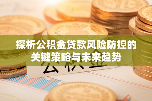 疏附探析公积金贷款风险防控的关键策略与未来趋势