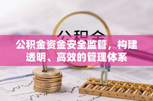 疏附公积金资金安全监管，构建透明、高效的管理体系