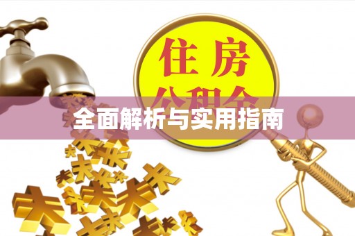 疏附全面解析与实用指南