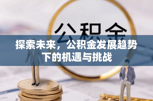 疏附探索未来，公积金发展趋势下的机遇与挑战