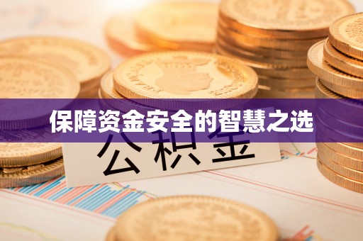 疏附保障资金安全的智慧之选