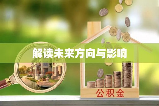 疏附解读未来方向与影响