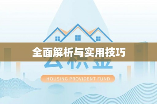 疏附全面解析与实用技巧