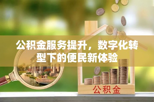 疏附公积金服务提升，数字化转型下的便民新体验