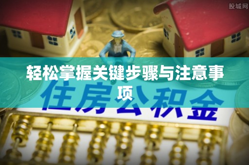 疏附轻松掌握关键步骤与注意事项