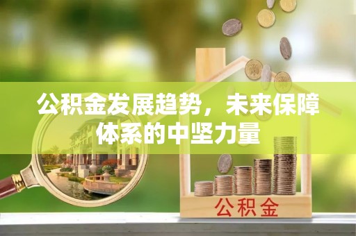 疏附公积金发展趋势，未来保障体系的中坚力量