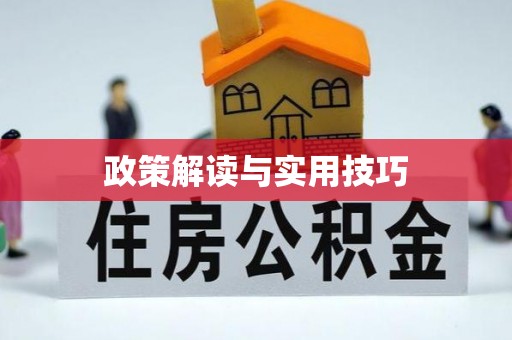 疏附政策解读与实用技巧