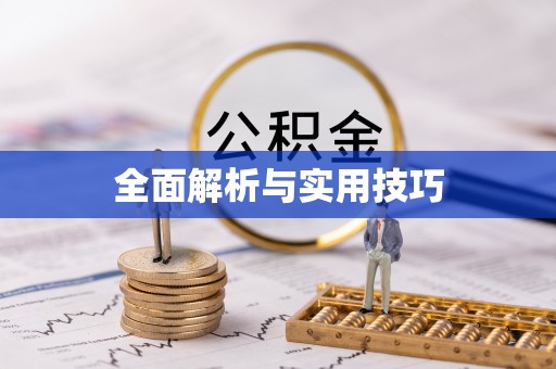疏附全面解析与实用技巧