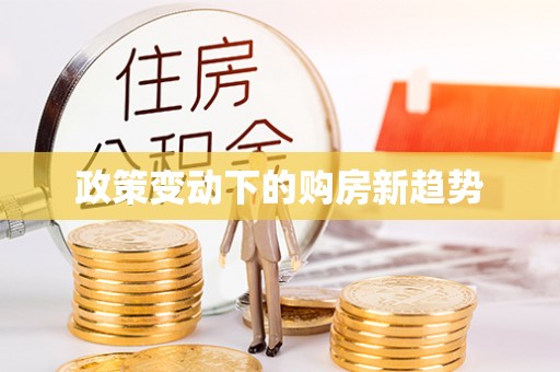 疏附政策变动下的购房新趋势