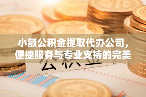 疏附小额公积金提取代办公司，便捷服务与专业支持的完美结合
