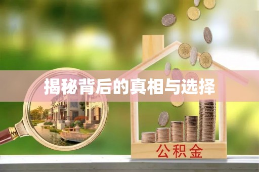 疏附揭秘背后的真相与选择