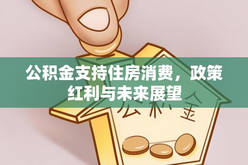 疏附公积金支持住房消费，政策红利与未来展望