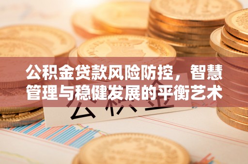 疏附公积金贷款风险防控，智慧管理与稳健发展的平衡艺术