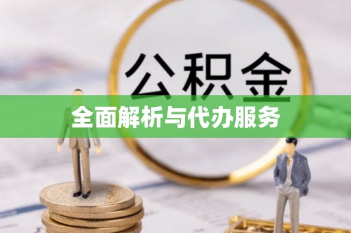疏附全面解析与代办服务