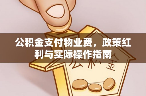 疏附公积金支付物业费，政策红利与实际操作指南
