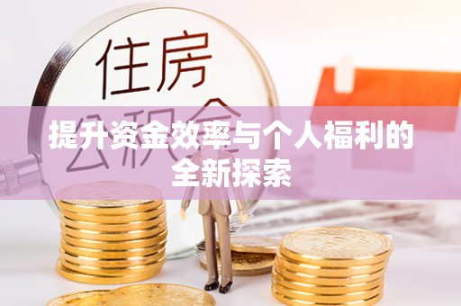 疏附提升资金效率与个人福利的全新探索