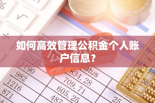 疏附如何高效管理公积金个人账户信息？