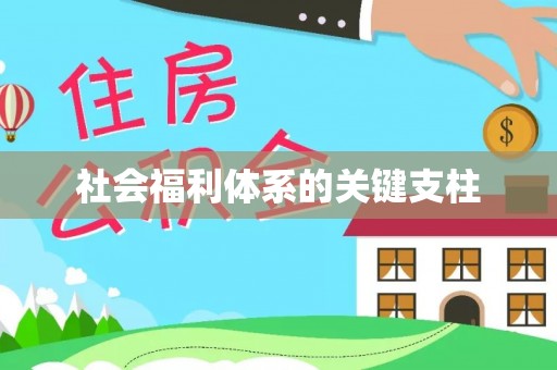 疏附社会福利体系的关键支柱