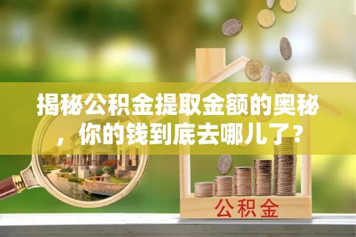 疏附揭秘公积金提取金额的奥秘，你的钱到底去哪儿了？