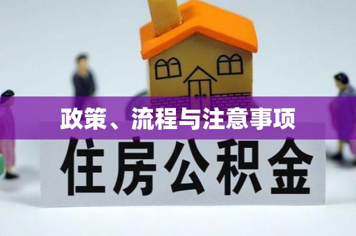 疏附政策、流程与注意事项