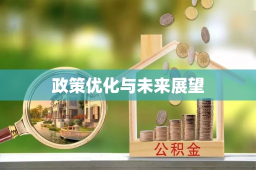 疏附政策优化与未来展望